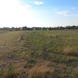 Cartojani, teren intravilan de vanzare